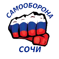 Тхэквондо и самооборона Сочи