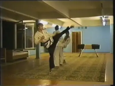Удар долио чаги